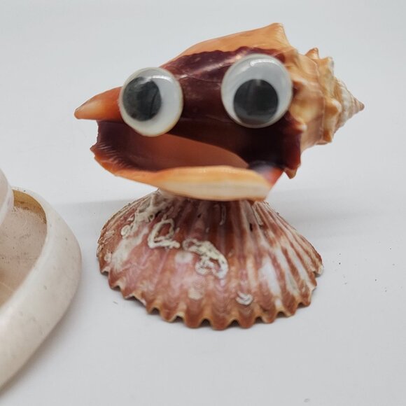 Unique Shell Figurine Set With Googly Eyes & Spiral Cone Decor Tectus Pyramis - Picture 2 of 7